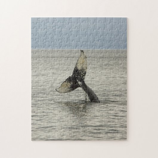 Noord-Amerika, VS, AK, Inside Passage. Bultrugwalv Legpuzzel (Verticaal)