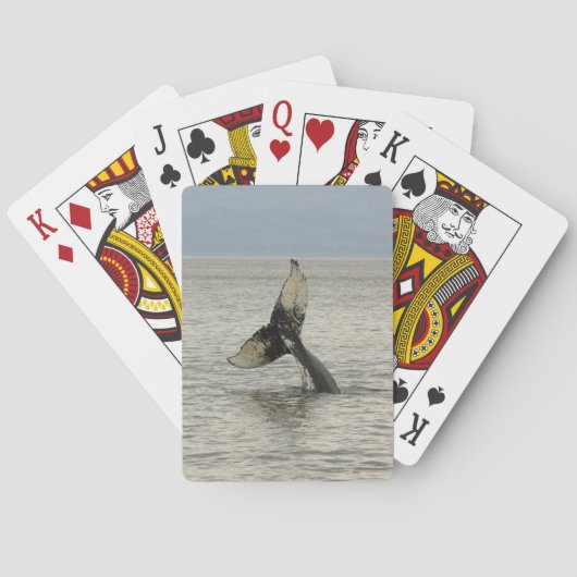 Noord-Amerika, VS, AK, Inside Passage. Bultrugwalv Pokerkaarten (Achterkant)