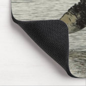 Noord-Amerika, VS, AK, Inside Passage. Humpback Muismat (Hoek)