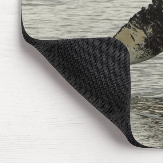 Noord-Amerika, VS, AK, Inside Passage. Humpback Muismat (Hoek)