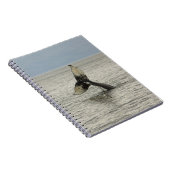 Noord-Amerika, VS, AK, Inside Passage. Humpback Notitieboek (Rechterzijde)