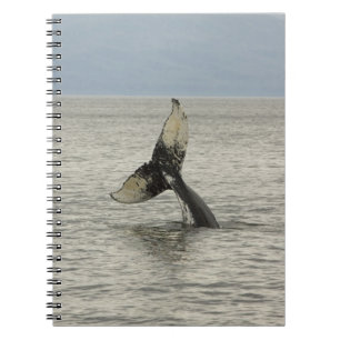 Noord-Amerika, VS, AK, Inside Passage. Humpback Notitieboek