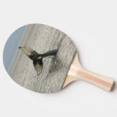 Noord-Amerika, VS, AK, Inside Passage. Humpback Tafeltennisbatje (Zijkant)