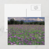 Noord-Amerika, VS, Alaska, Anchorage, Eklutna Briefkaart (Voorkant / Achterkant)