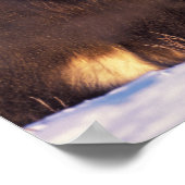 Noord-Amerika, VS, Alaska, Arctische cirkel, Poster (Hoek)