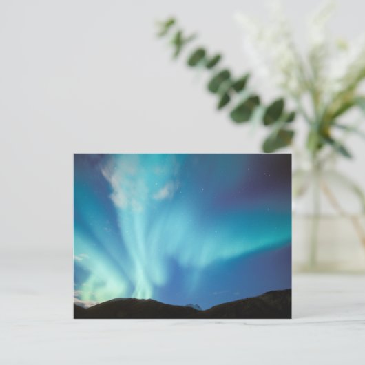 Noord-Amerika, VS, Alaska, Brooks Range. Briefkaart (Staand voorkant)