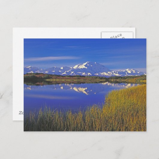 Noord-Amerika, VS, Alaska, Denali NP, Briefkaart (Voorkant / Achterkant)