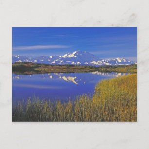Noord-Amerika, VS, Alaska, Denali NP, Briefkaart