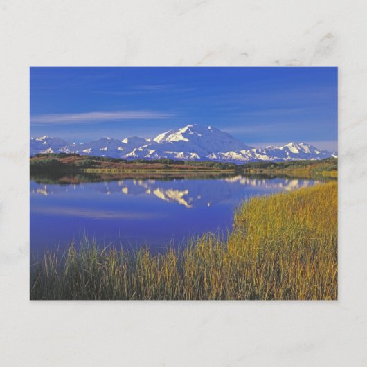 Noord-Amerika, VS, Alaska, Denali NP, Briefkaart (Voorkant)