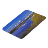 Noord-Amerika, VS, Alaska, Denali NP, Magneet (Linkerzijde)