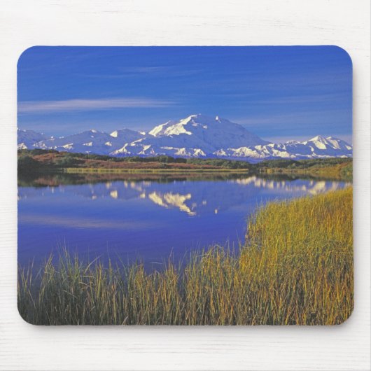 Noord-Amerika, VS, Alaska, Denali NP, Muismat (Voorkant)