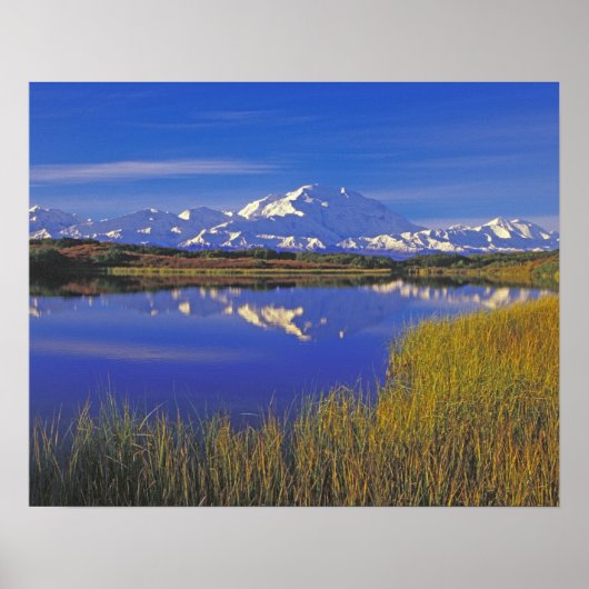 Noord-Amerika, VS, Alaska, Denali NP, Poster (Voorkant)