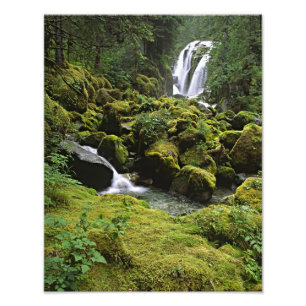 Noord-Amerika, VS, Alaska. Een waterval en Foto Afdruk