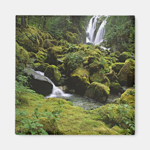 Noord-Amerika, VS, Alaska. Een waterval en Magneet