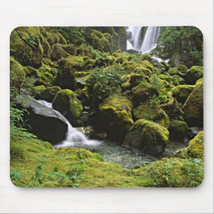 Noord-Amerika, VS, Alaska. Een waterval en Muismat