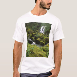 Noord-Amerika, VS, Alaska. Een waterval en T-shirt