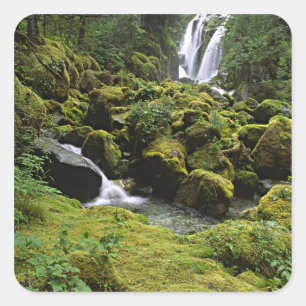 Noord-Amerika, VS, Alaska. Een waterval en Vierkante Sticker