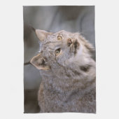 Noord-Amerika, VS, Alaska, Haines. Lynx (Felis 2) Theedoek (Verticaal)