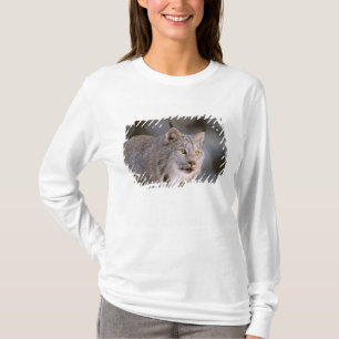 Noord-Amerika, VS, Alaska, Haines. Lynx (Felis lyn T-shirt