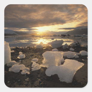 Noord-Amerika, VS, Alaska, IJsbaai, ijzig landscha Vierkante Sticker