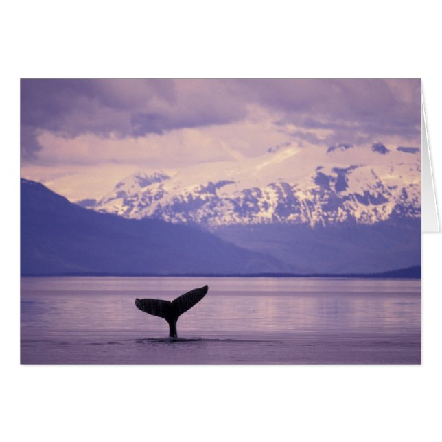 Noord-Amerika, VS, Alaska, Inside Passage. (Voorkant Horizontaal)