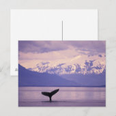 Noord-Amerika, VS, Alaska, Inside Passage. Briefkaart (Voorkant / Achterkant)