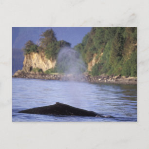 Noord-Amerika, VS, Alaska, Inside Passage. Briefkaart