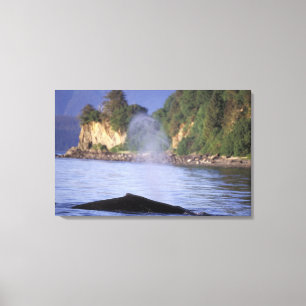 Noord-Amerika, VS, Alaska, Inside Passage. Canvas Afdruk