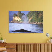 Noord-Amerika, VS, Alaska, Inside Passage. Canvas Afdruk (Insitu (Woonkamer))