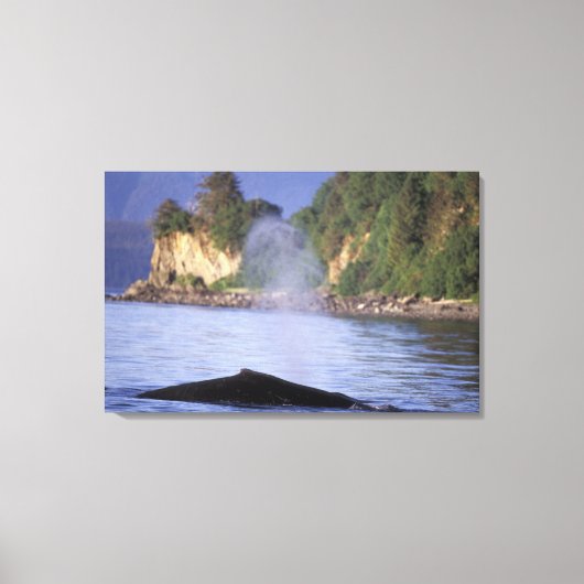 Noord-Amerika, VS, Alaska, Inside Passage. Canvas Afdruk (Voorkant)