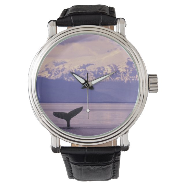 Noord-Amerika, VS, Alaska, Inside Passage. Horloge (Voorkant)