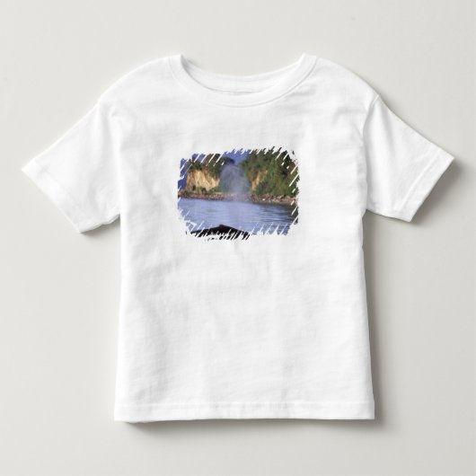 Noord-Amerika, VS, Alaska, Inside Passage. Kinder Shirts (Voorkant)