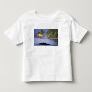 Noord-Amerika, VS, Alaska, Inside Passage. Kinder Shirts