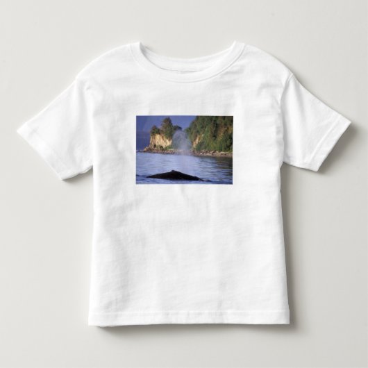 Noord-Amerika, VS, Alaska, Inside Passage. Kinder Shirts (Voorkant)