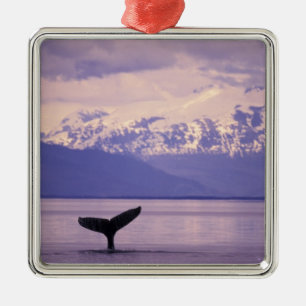 Noord-Amerika, VS, Alaska, Inside Passage. Metalen Ornament