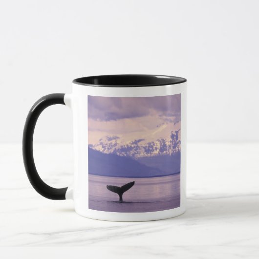 Noord-Amerika, VS, Alaska, Inside Passage. Mok (Links)