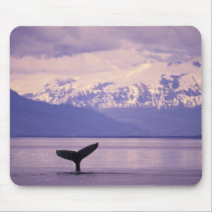 Noord-Amerika, VS, Alaska, Inside Passage. Muismat