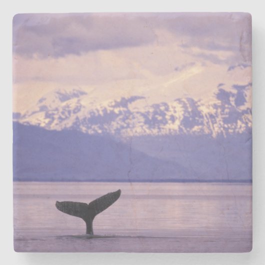 Noord-Amerika, VS, Alaska, Inside Passage. Stenen Onderzetter (Voorkant)