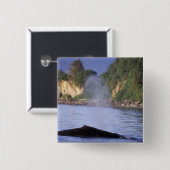 Noord-Amerika, VS, Alaska, Inside Passage. Vierkante Button 5,1 Cm (Voorkant /achterkant)