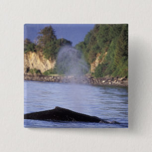 Noord-Amerika, VS, Alaska, Inside Passage. Vierkante Button 5,1 Cm