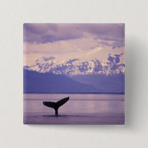 Noord-Amerika, VS, Alaska, Inside Passage. Vierkante Button 5,1 Cm