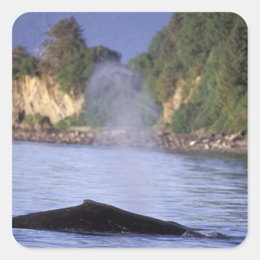 Noord-Amerika, VS, Alaska, Inside Passage. Vierkante Sticker (Voorkant)