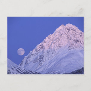 Noord-Amerika, VS, Alaska, Knik River, Briefkaart