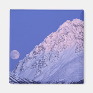 Noord-Amerika, VS, Alaska, Knik rivier, Magneet