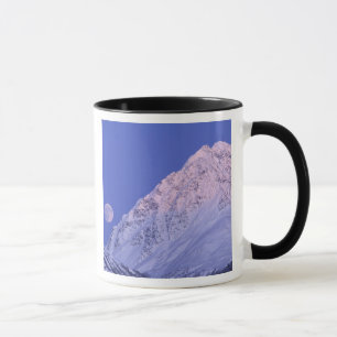 Noord-Amerika, VS, Alaska, Knik rivier, Mok