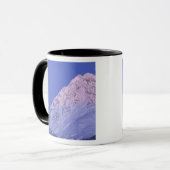 Noord-Amerika, VS, Alaska, Knik rivier, Mok (Voorkant links)