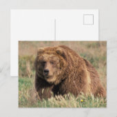 Noord-Amerika, VS, Alaska, Kodiak-eiland, Briefkaart (Voorkant / Achterkant)