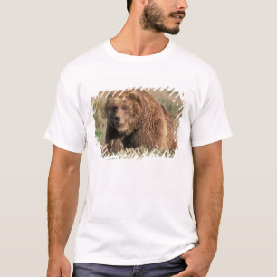 Noord-Amerika, VS, Alaska, Kodiak-eiland, T-shirt