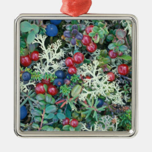 Noord-Amerika, VS, Alaska, Landschap, bessen Metalen Ornament