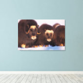 Noord-Amerika, VS, Alaska, poolcirkel, Canvas Afdruk (Insitu (Houten vloer))